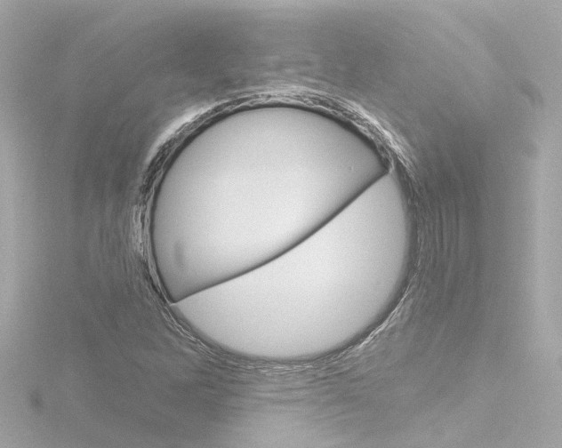X0000116771262200912171123