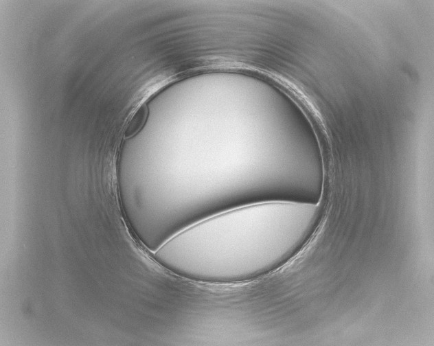 X0000116771289200912171123