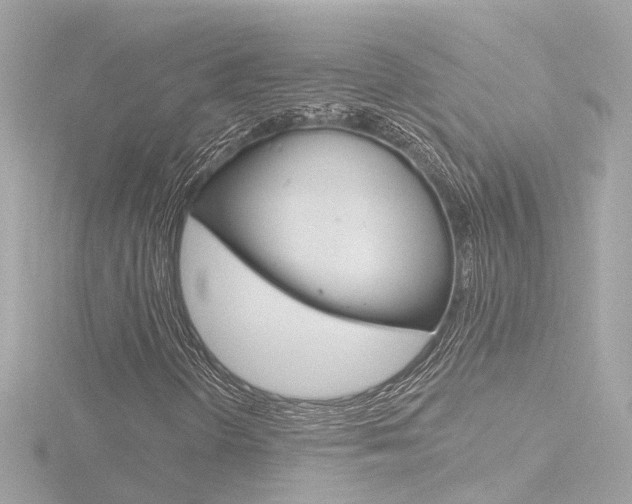 X0000116771298200912171122