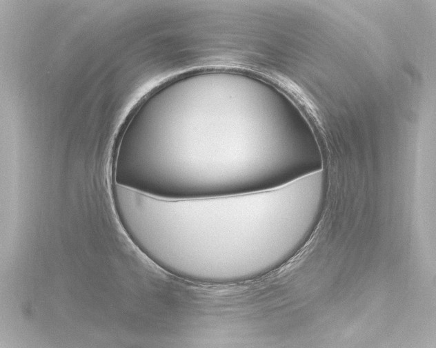 X0000116771334200912171123
