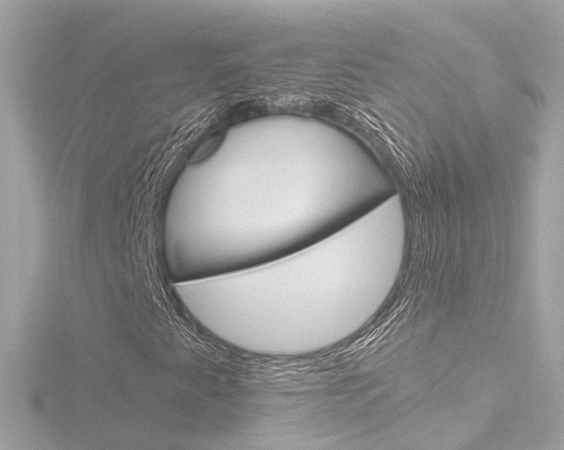 X0000116771345200912171122