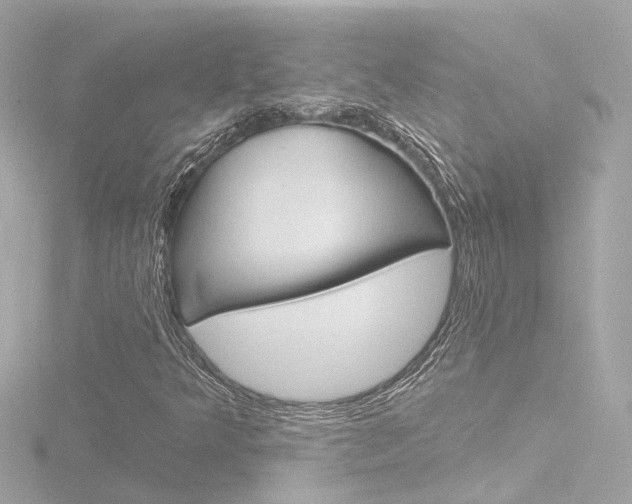 X0000116771349200912171122