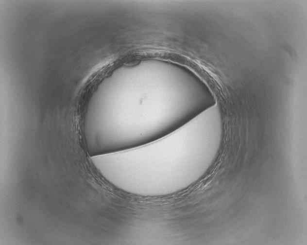 X0000116771351200912171122
