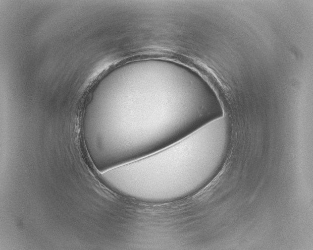 X0000116771355200912171122