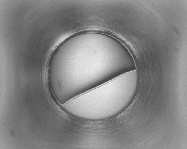X0000116771367200912171122