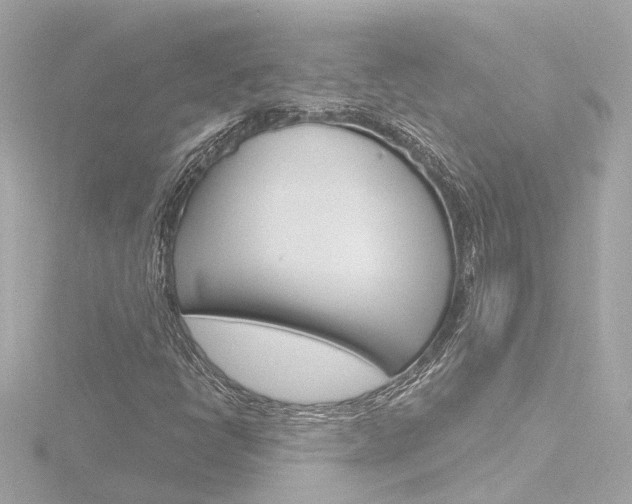 X0000116771398200912171121
