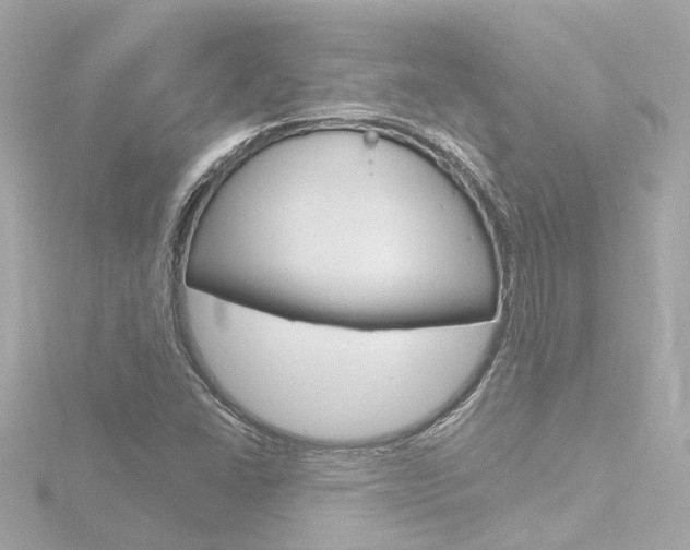 X0000116771406200912171121