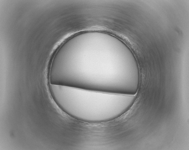 X0000116771422200912171121