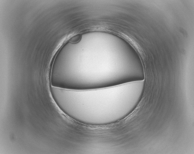 X0000116771434200912171121