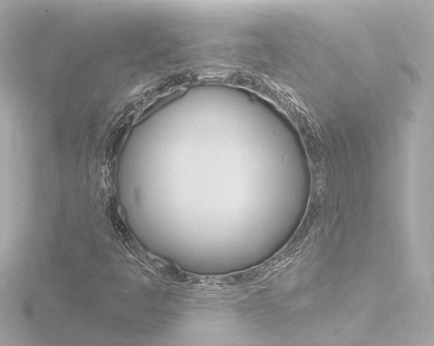 X0000116771445200912171121