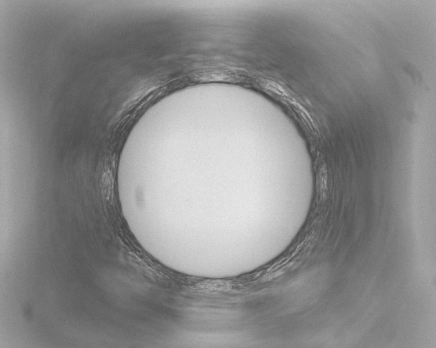 X0000116771446200912171121