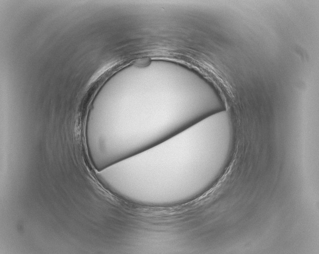 X0000116771450200912171121