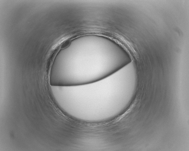 X0000116771453200912171121