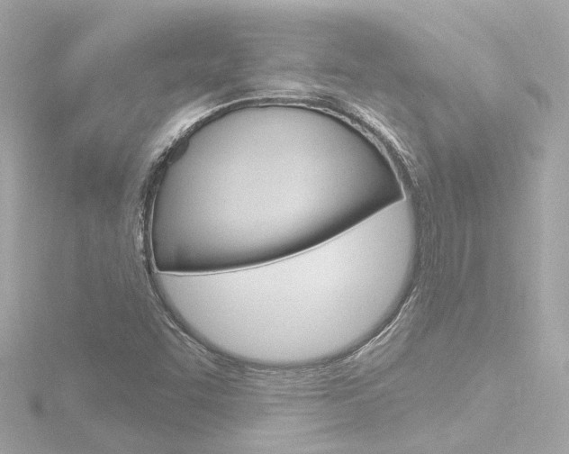X0000116771455200912171121
