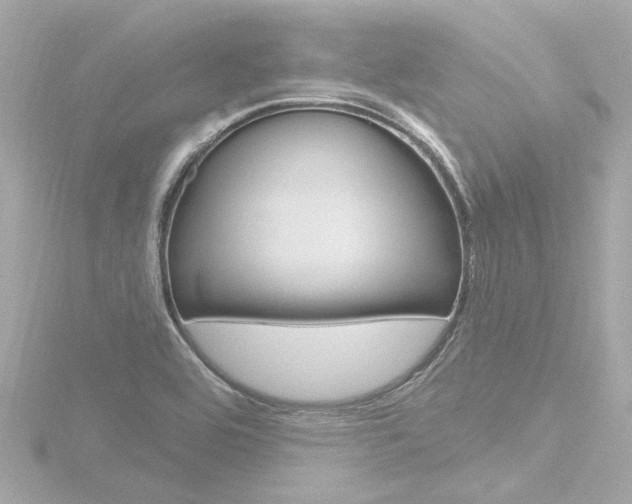 X0000116771464200912171121