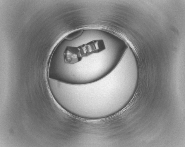 X0000116771484200912171120