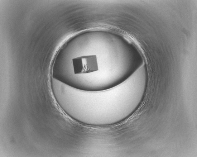 X0000116771488200912171120