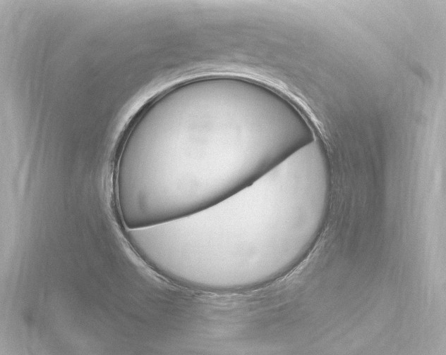 X0000116771511200912171120