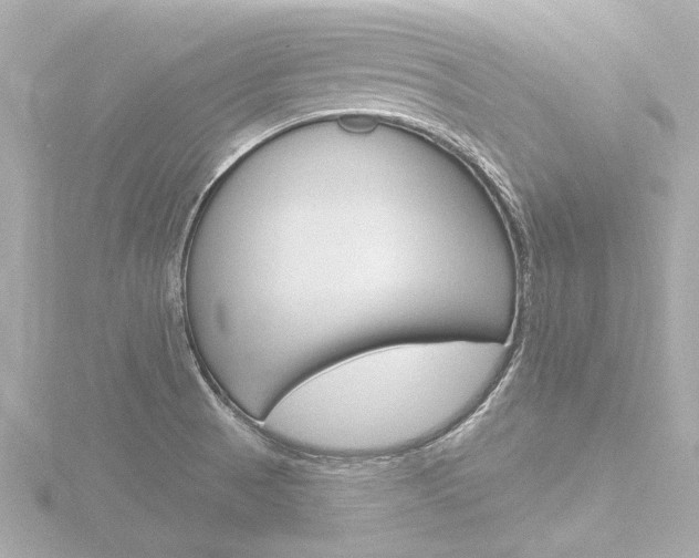 X0000116771521200912171120