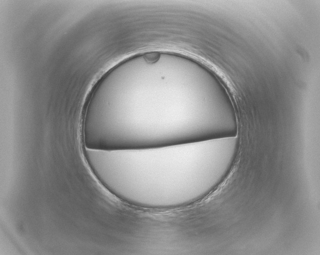 X0000116771525200912171120