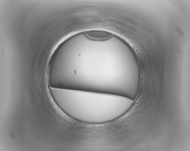 X0000116771526200912171120