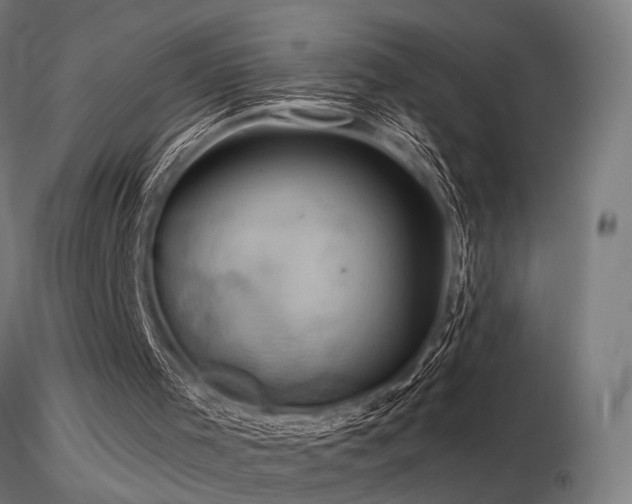 X0000116770001200912171544