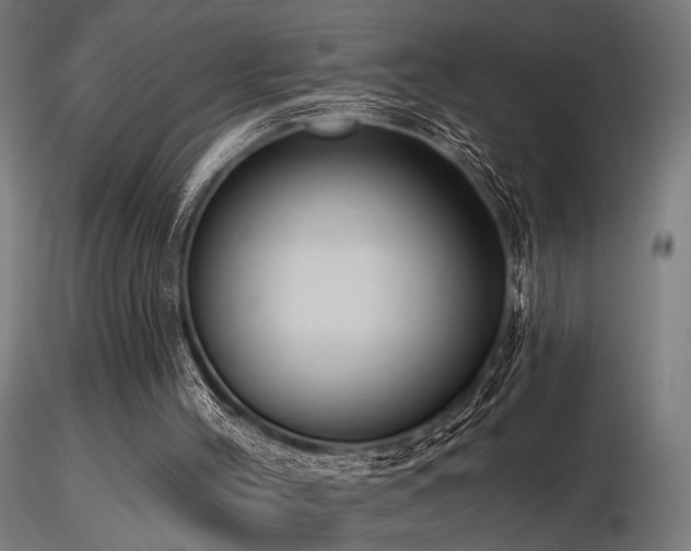 X0000116770004200912171544