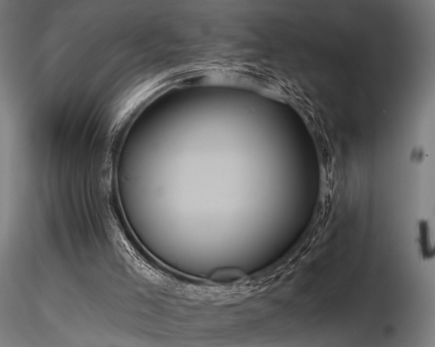 X0000116770005200912171544