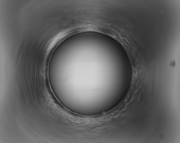 X0000116770006200912171544