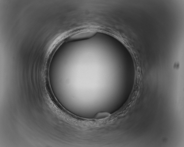 X0000116770007200912171544