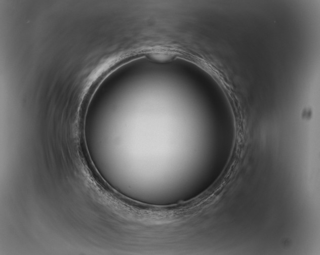 X0000116770008200912171544