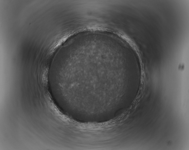 X0000116770009200912171544