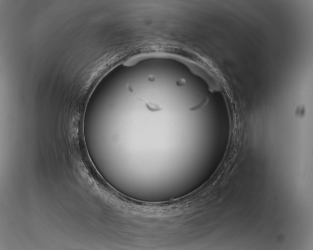 X0000116770010200912171544