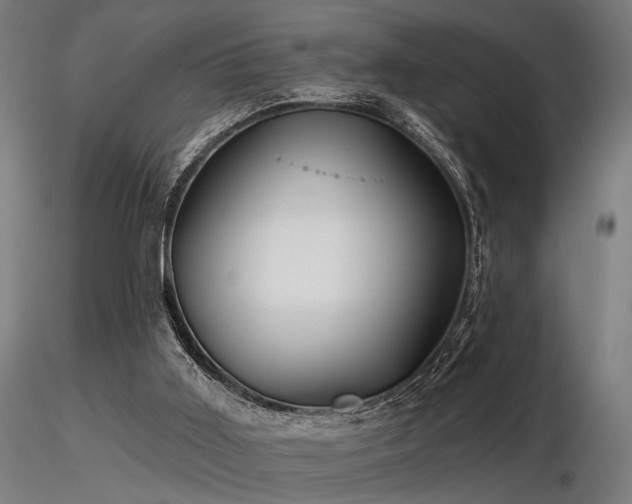 X0000116770011200912171544