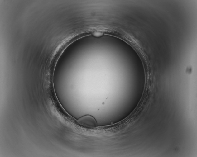 X0000116770012200912171544