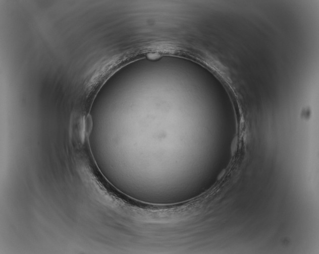X0000116770013200912171544