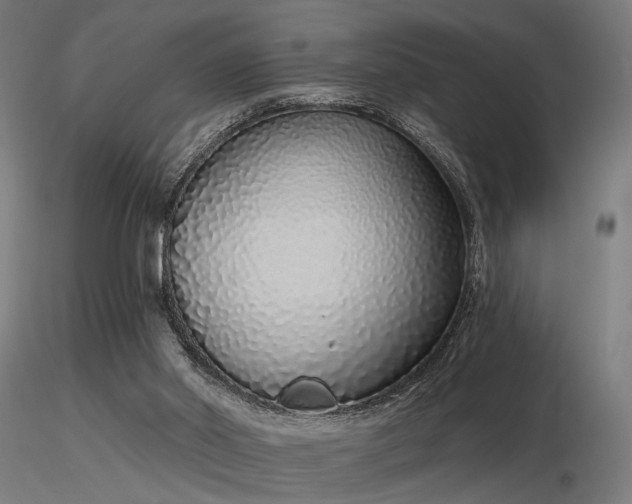 X0000116770014200912171544