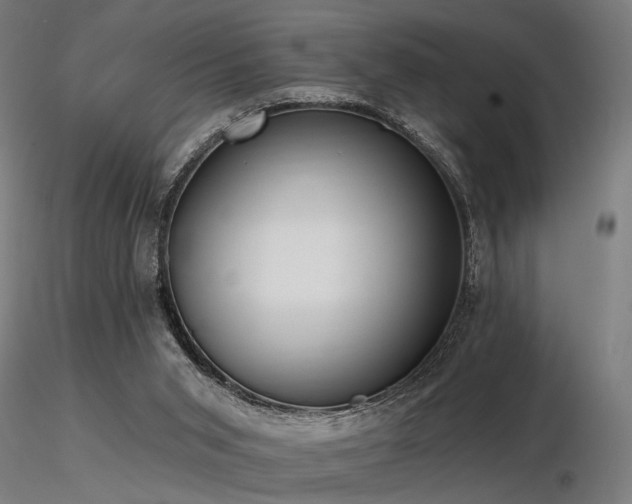 X0000116770015200912171544