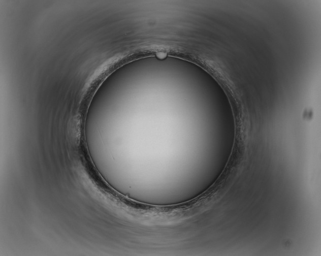 X0000116770016200912171544
