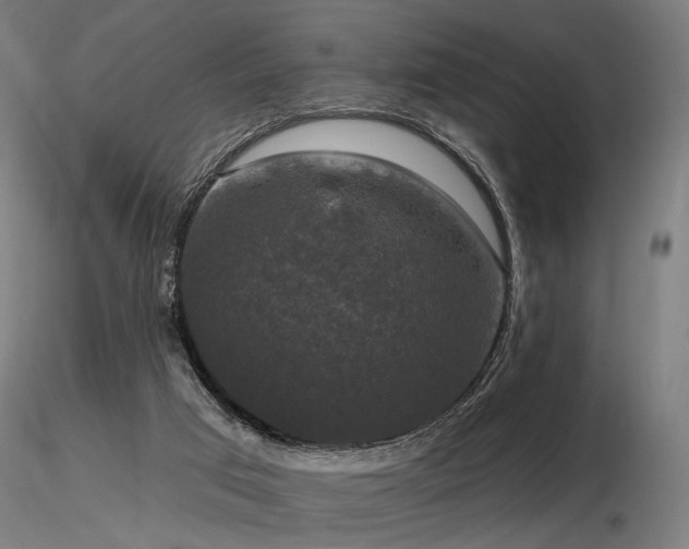 X0000116770017200912171544