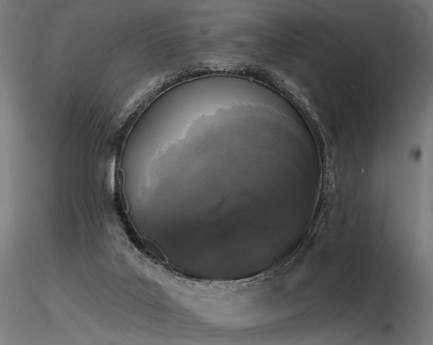 X0000116770019200912171544