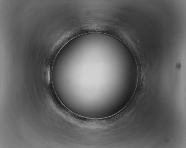 X0000116770020200912171544