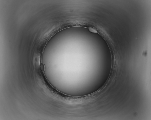 X0000116770021200912171544