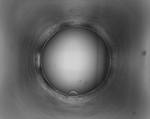 X0000116770022200912171544