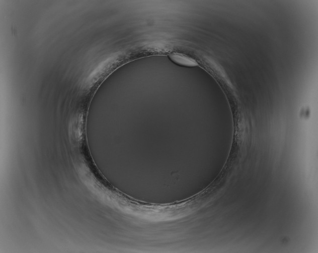 X0000116770023200912171544