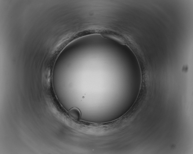 X0000116770024200912171544