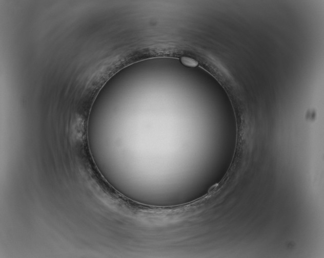 X0000116770025200912171544