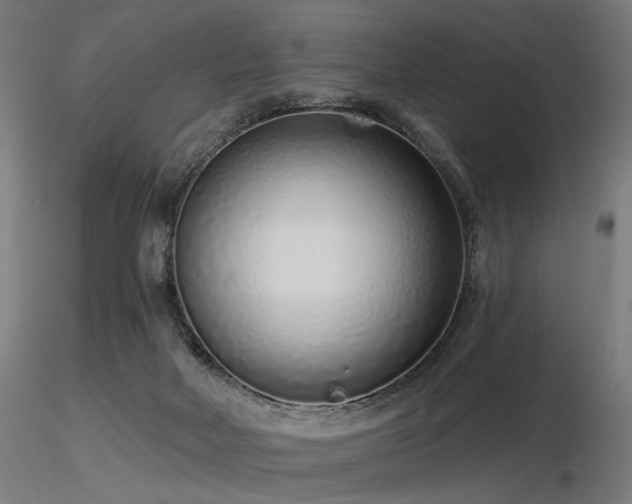 X0000116770026200912171544
