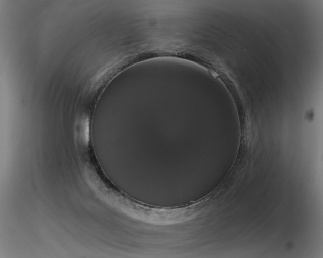X0000116770027200912171544