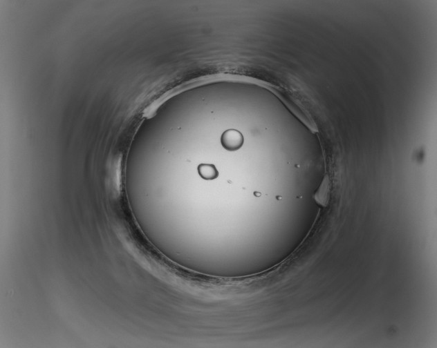 X0000116770028200912171544